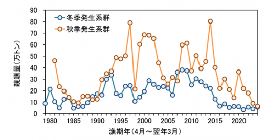 スルメイカの親資源量