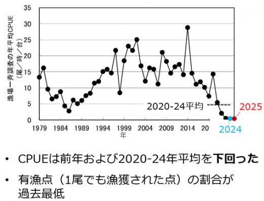 日本海の試験操業結果